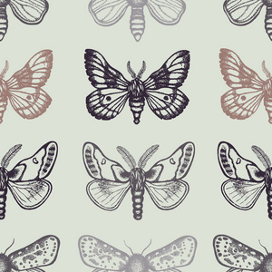与飞蛾在复古风格的无缝模式。在明亮的背景上的昆虫。Dotwork。手绘。矢量图
