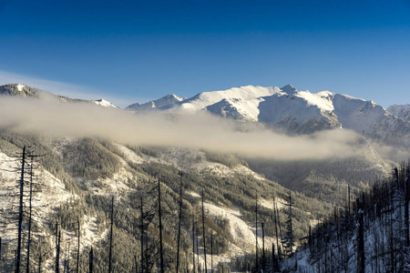 冬季 landsc 的高山大山峰 Tatra