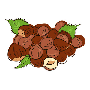 榛子树插画-榛子树手绘-榛子树卡通图-摄图新视界