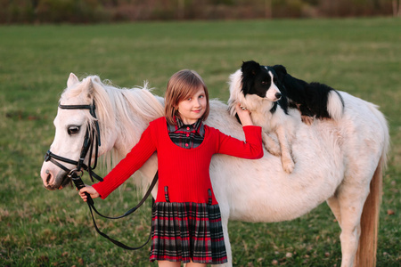 红色的连衣裙.骑在马背上的狗.白马的小马照片