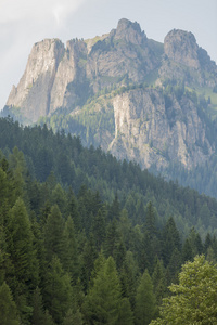 景观石山