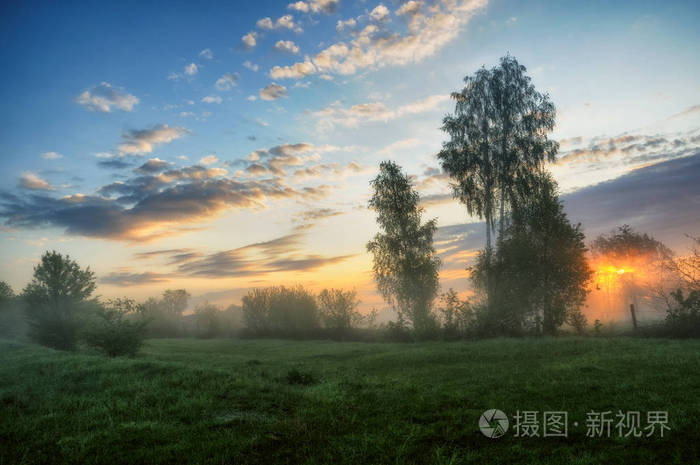 春天的早晨在风景如画的草地上的薄雾黎明太阳射线