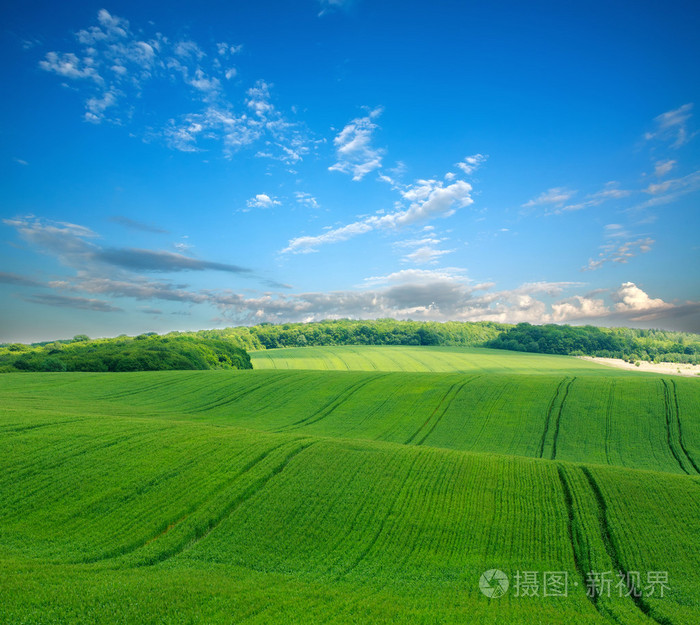 农村农业景观绿色领域背景天空上