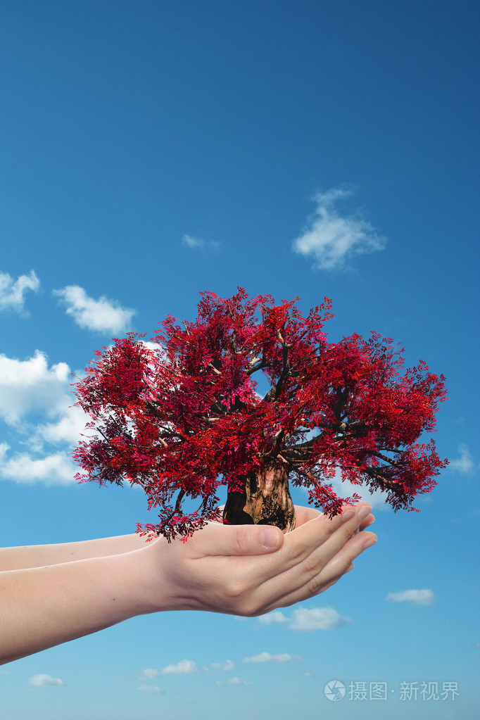 手里拿着红色的春天树