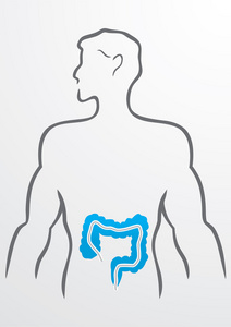 人体消化道图片-人体消化道素材-人体消化道插画-摄图新视界