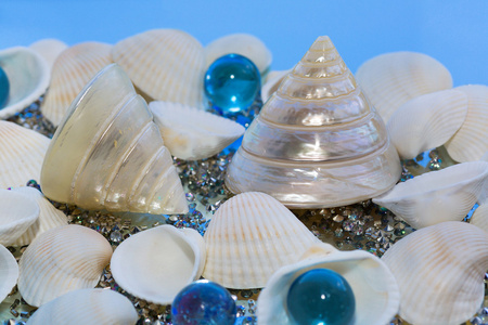 海贝壳，装饰玻璃
