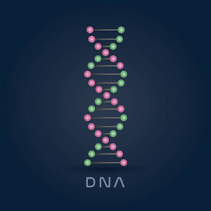 深蓝色背景下的 Dna 链符号分离