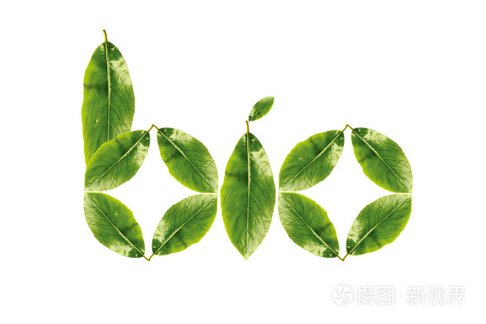 生物词组成的绿色的树叶