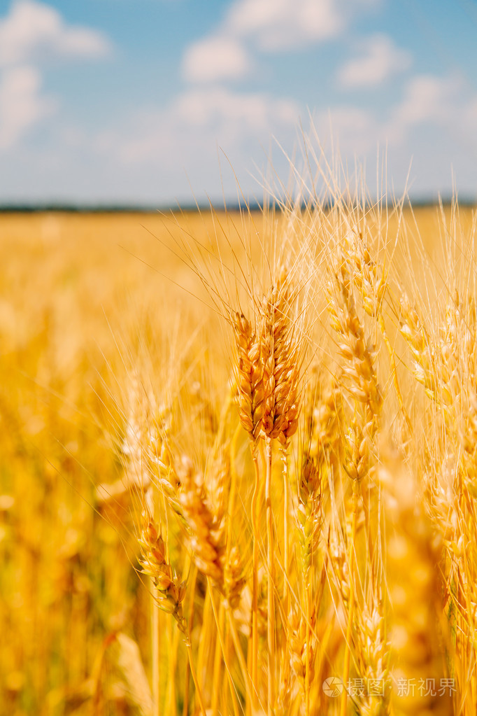 682_1023竖版 竖屏