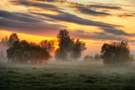 早晨的太阳射线春天的早晨.在风景如画的草地上的薄雾黎明.