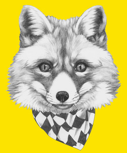 狐狸绘图图片 狐狸绘图素材 狐狸绘图插画 摄图新视界