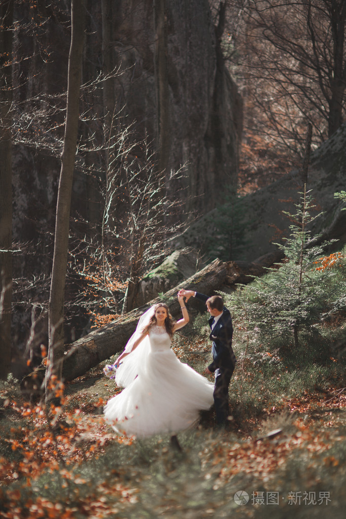 华丽的婚礼情侣接吻和拥抱在森林里的大石头