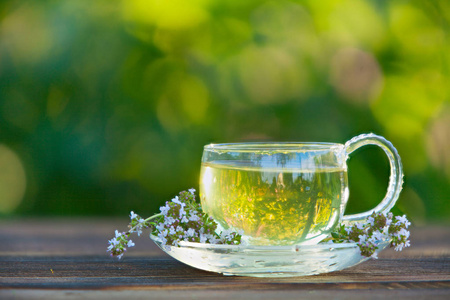 美丽杯绿茶照片