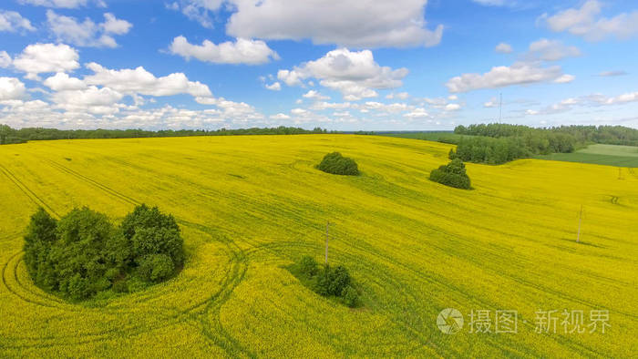 夏日美丽的田园草地从无人机鸟瞰