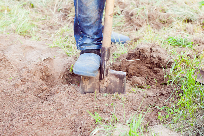男子挖土在花园的特写图片