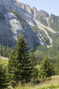 山风景