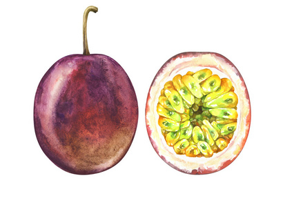 一套成熟的激情水果, 在白色背景下分离。手绘水彩插画