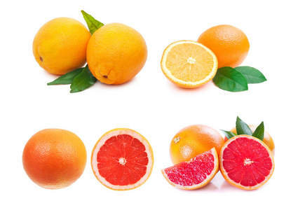 柑橘类水果集合图片