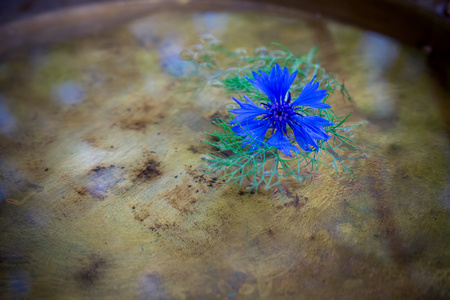 矢车菊在铜盆水背景下的一个木制的表面