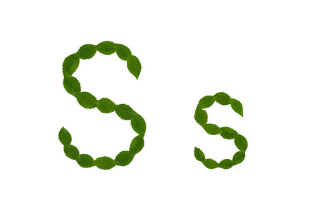 字母 S, 由白色背景的绿色叶子制成的字母