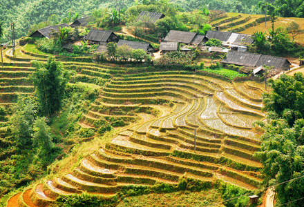 越南萨帕的水稻梯田和村庄房屋景观