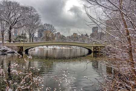 弓桥中央公园图片