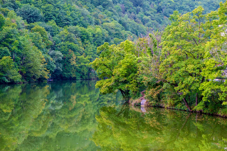 Hamori 森林湖匈牙利