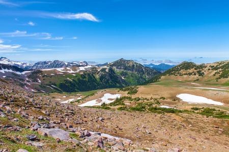 夏季徒步旅行在雷尼尔山国家公园与视图的 Mt.Rainier