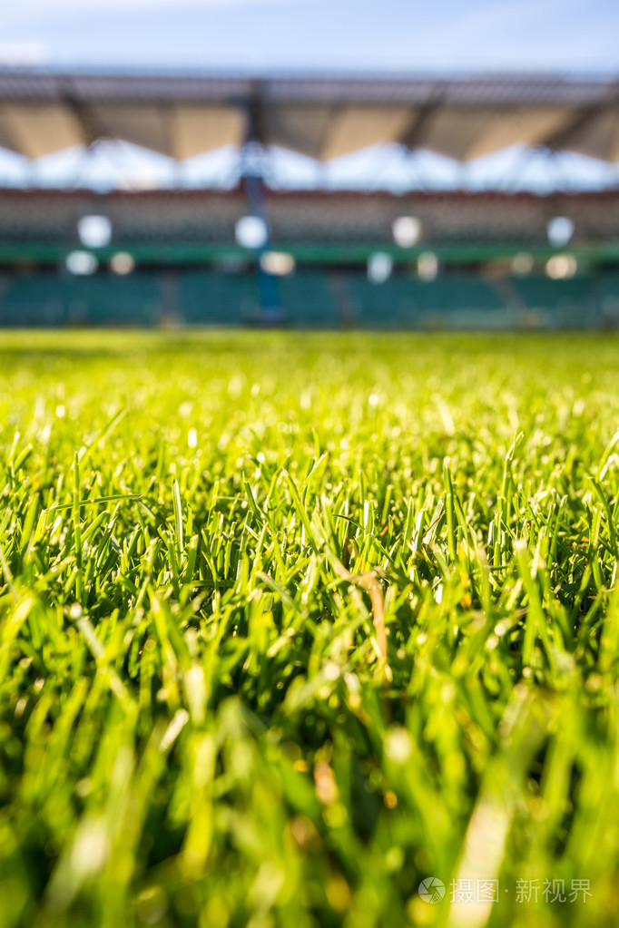 绿草在现代体育场在阳光灿烂的日子