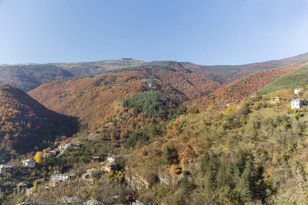 秋季风景与多彩树