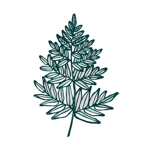 蕨类背景图片-蕨类背景素材-蕨类背景插画-摄图新视界