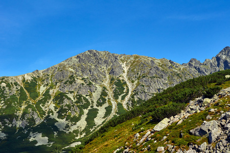 多岩石的山峰的波兰的高塔特拉山