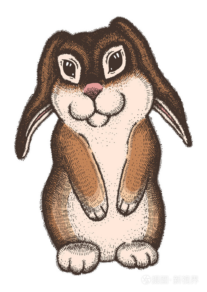 手彩色的素描画的复活节兔子白色背景上的复古线条艺术插图矢量分离