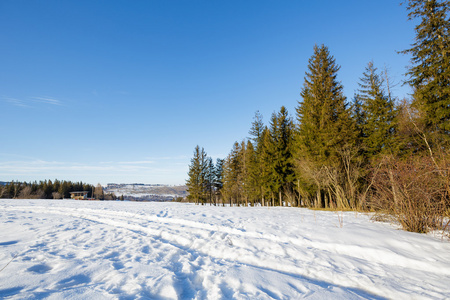 扎科帕内郊区的冬景图片
