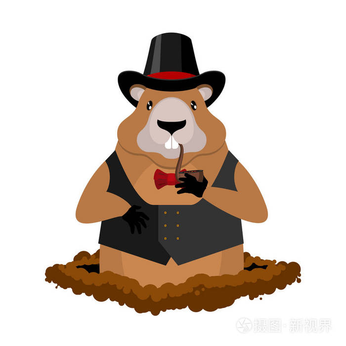 土拨鼠在帽子和与管子.啮齿动物贵族插图