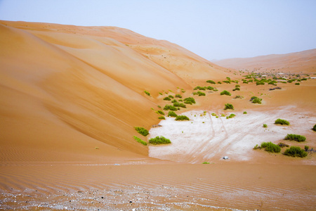在利瓦绿洲，阿拉伯联合酋长国的惊人沙丘地层。