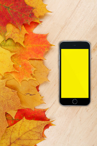 秋天的落叶和智能手机