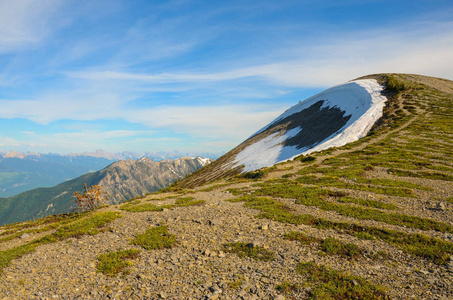 春山风景