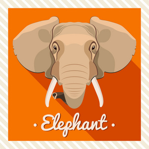 对称的动物的画像.矢量图, 贺卡, 海报.图标.动物的脸.字体的铭文.