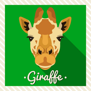 对称的动物的画像.矢量图, 贺卡, 海报.图标.动物的脸.字体的铭文.