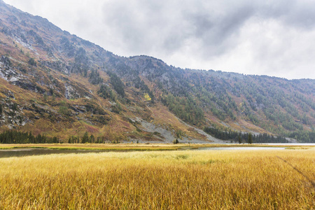 Multa 河流域。阿尔泰山秋季景观