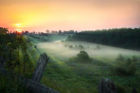 乡村的早晨图片-乡村的早晨素材-乡村的早晨插画-摄图新视界