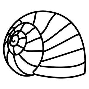 海螺化石图片-海螺化石素材-海螺化石插画-摄图新视界