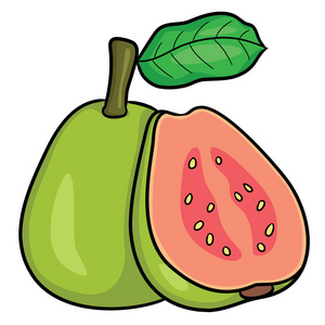 番木瓜属卡通图片