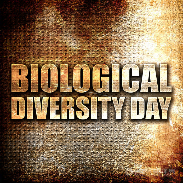 生物多样性日3d渲染金属防锈黑色文本