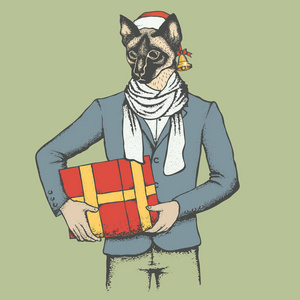 猫在圣诞老人帽子与礼物