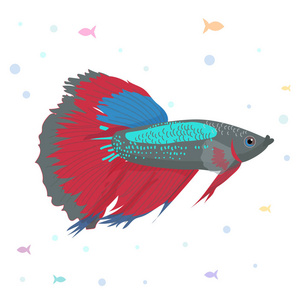 矢量观赏鱼剪影图。姹紫嫣红的卡通平水族馆小鱼为您设计的的图标