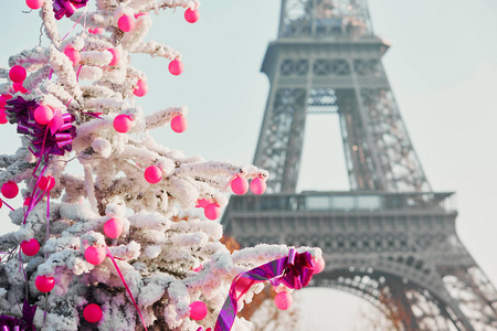 巴黎的埃菲尔铁塔附近的雪覆盖着的圣诞树