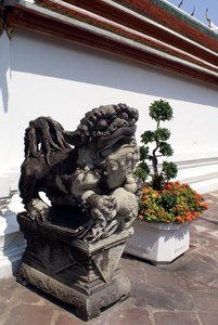 辛哈，狮子雕像在曼谷，泰国，亚洲的佛寺