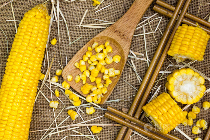谷物的成熟玉米粗麻布袋背景